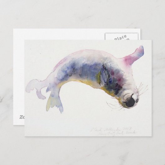 Jonge grijze zeehond Gweek 2003 Briefkaart (Voorkant / Achterkant)