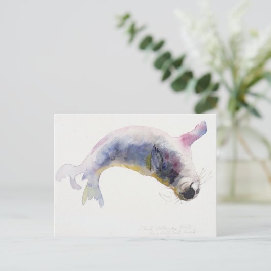 Jonge grijze zeehond Gweek 2003 Briefkaart (Staand voorkant)