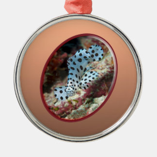 Jonge Groper - Ovaal Fotografisch Ontwerp van Vis Metalen Ornament