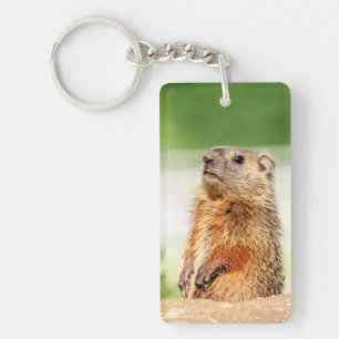 Jonge Groundhog Sleutelhanger
