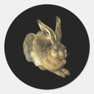 Jonge haas Feldhase van Albrecht Durer Ronde Sticker