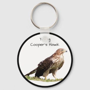 Jonge havik sleutelhanger