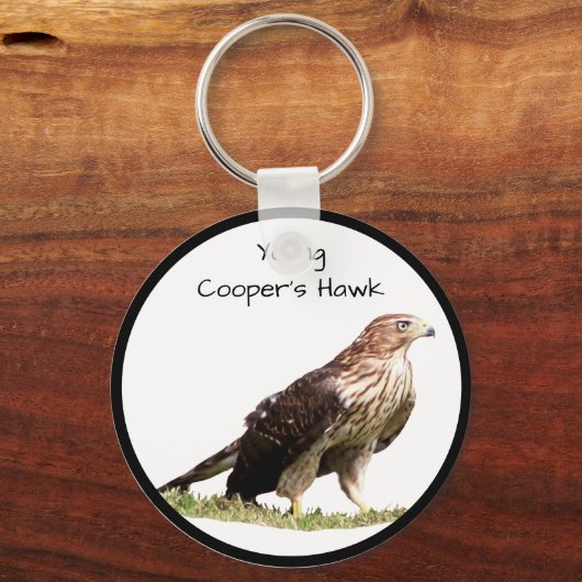 Jonge havik sleutelhanger (Voorkant)