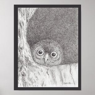 Jonge Havik Uil Print