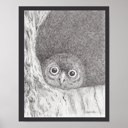 Jonge Havik Uil Print (Voorkant)
