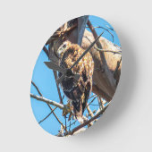 Jonge havik wandklok | Wilde vogels kunst (Hoek)