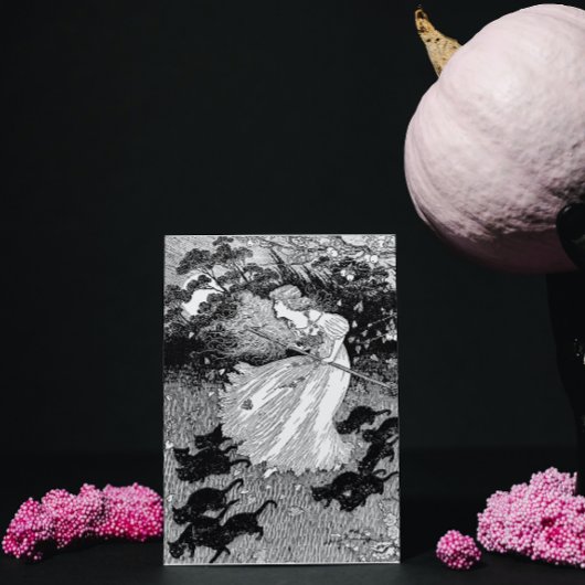 Jonge heks en zwarte katten briefkaart