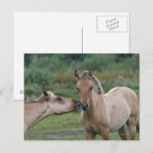 Jonge Henson-paarden die elkaar ontmoeten Briefkaart (Voorkant / Achterkant)