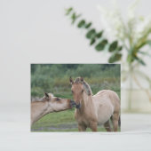 Jonge Henson-paarden die elkaar ontmoeten Briefkaart (Staand voorkant)