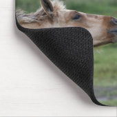 Jonge Henson-paarden die elkaar ontmoeten Muismat (Hoek)