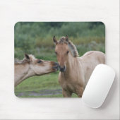 Jonge Henson-paarden die elkaar ontmoeten Muismat (Met muis)