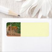 jonge herder etiket (Insitu)