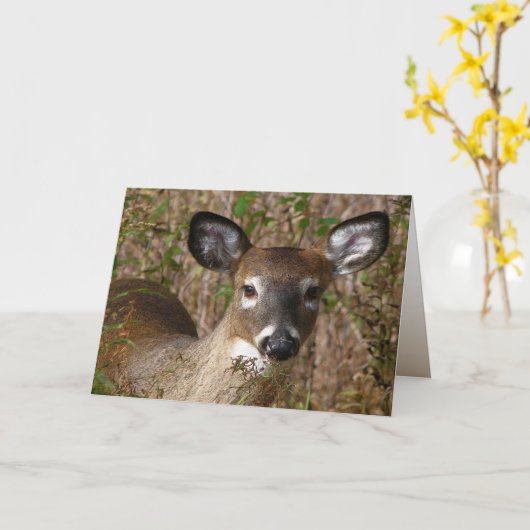 Jonge herten Vaders Dag Kaart (Gele Bloem)