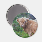 Jonge Hooglandrundmagnet Magneet (Voorkant / Achterkant)