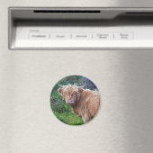Jonge Hooglandrundmagnet Magneet (Insitu (Vaatwasser))