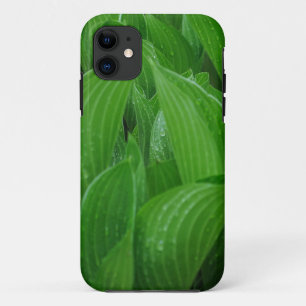 Jonge Hostas met regendruppels Case-Mate iPhone Case