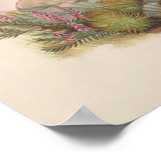 jonge IJslandse valk Poster (Hoek)