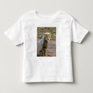Jonge jachtluipaard Acinonyx Jubatus) Kinder Shirts