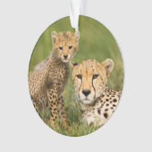 Jonge jachtluipaard en moeder in het gras ornament (voorkant)