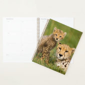 Jonge jachtluipaard en ouder in het gras planner (Display)