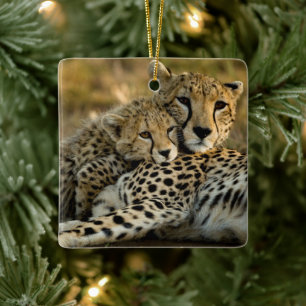 Jonge jachtluipaard knuffelt met zijn moeder keramisch ornament