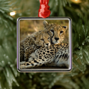 Jonge jachtluipaard knuffelt met zijn moeder metalen ornament