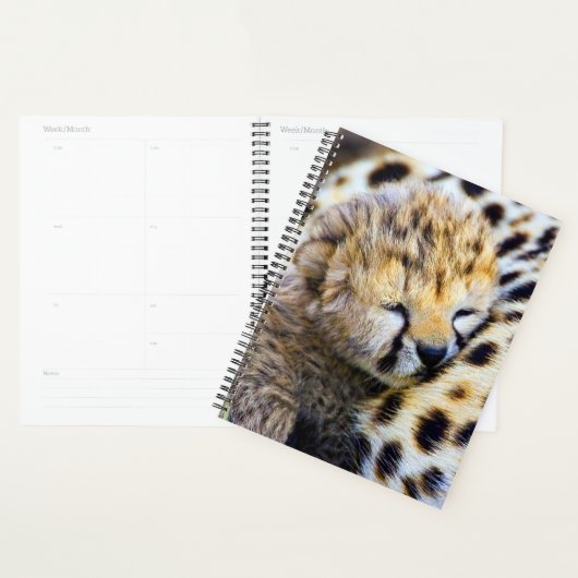 Jonge jachtluipaard planner (Display)