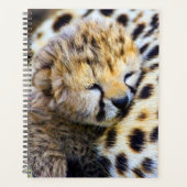 Jonge jachtluipaard planner (Voorkant)