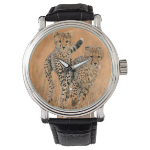 Jonge jachtluipaarden (Acinonyx Jubatus) hardlopen Horloge