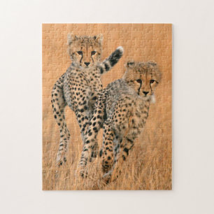 Jonge jachtluipaarden (Acinonyx Jubatus) hardlopen Legpuzzel
