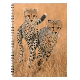 Jonge jachtluipaarden (Acinonyx Jubatus) hardlopen Notitieboek