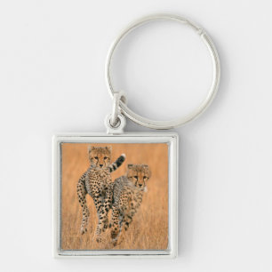 Jonge jachtluipaarden (Acinonyx Jubatus) hardlopen Sleutelhanger