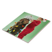 Jonge jongen die kerstverlichting rond een hond wi tegeltje (Zijkant)