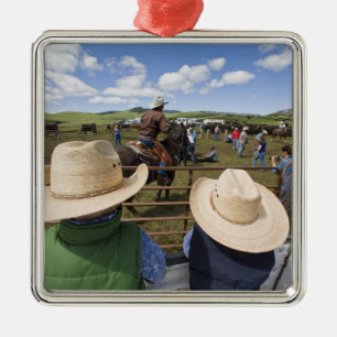 Jonge jongens nemen de Hughes Ranch van 2007 aan Metalen Ornament