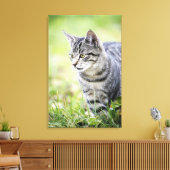 Jonge kat in natuur canvas afdruk (Insitu (Woonkamer))
