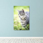 Jonge kat in natuur canvas afdruk (Insitu (Houten vloer))