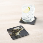 Jonge kayman in water met reflectie bier onderzetter (Rechterzijde)