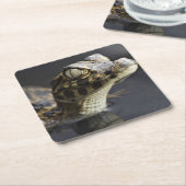 Jonge kayman in water met reflectie kartonnen onderzetters (Schuin)