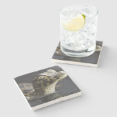 Jonge kayman in water met reflectie stenen onderzetter (Zijkant)