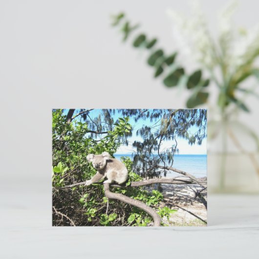 Jonge koala in een boom op het strand briefkaart (Staand voorkant)