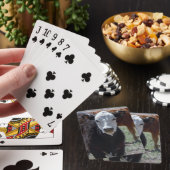 Jonge koe zwart en wit gezicht western speelkaarten (Insitu)