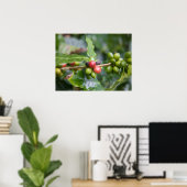 Jonge Koffieplant Poster (Thuiskantoor)