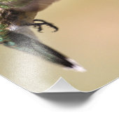 Jonge kolibrie voedt ons op onze tuin foto afdruk (Hoek)