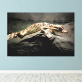Jonge Krokodil op een Rots Canvas Afdruk (Insitu (Houten vloer))