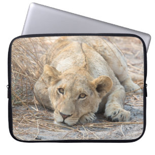 Jonge leeuw laptop sleeve