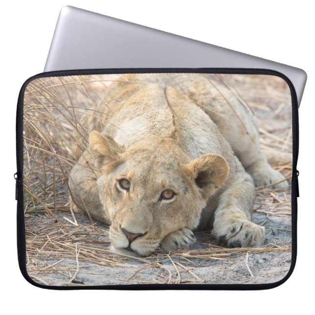 Jonge leeuw laptop sleeve (Voorkant)
