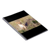 Jonge leeuw notitieboek (Rechterzijde)