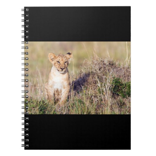Jonge leeuw notitieboek (Voorkant)