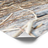 Jonge leeuw perfect poster (Hoek)