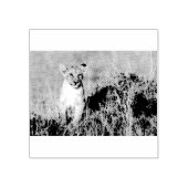 Jonge leeuw rubberstempel (Afrduk)